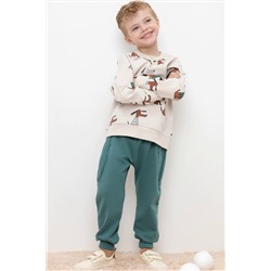 Трикотажные брюки для мальчика из петельчатого футера КР 400624/темный малахит к434 брюки