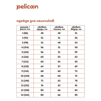 BZXL3337 (Куртка для мальчика, Pelican )