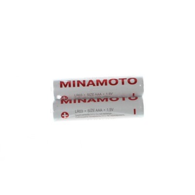 Э/п MINAMOTO LR03 S2 / 48;960 / ТОЛЬКО 48